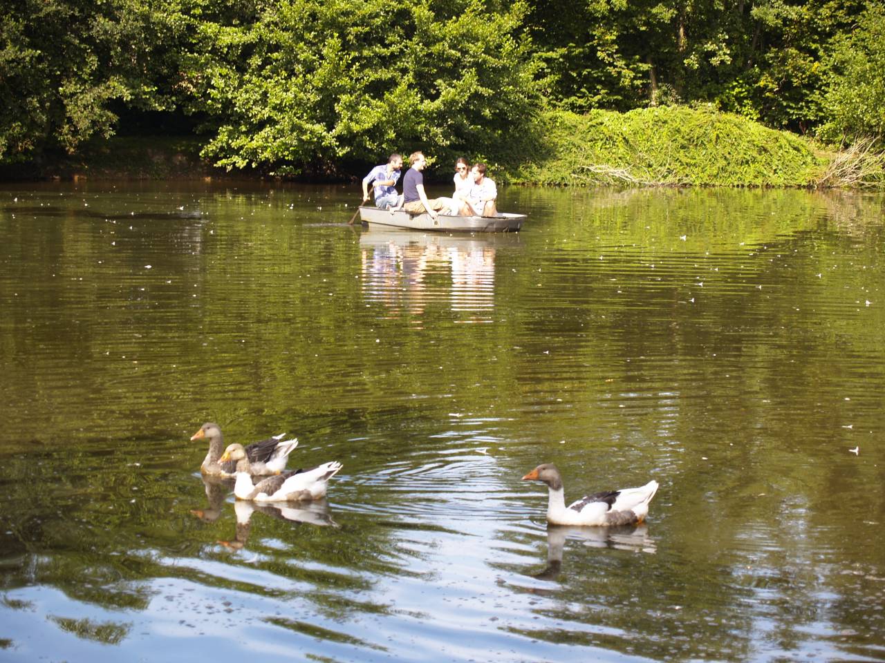 Hippisch toerisme vastgoed Koop Calvados