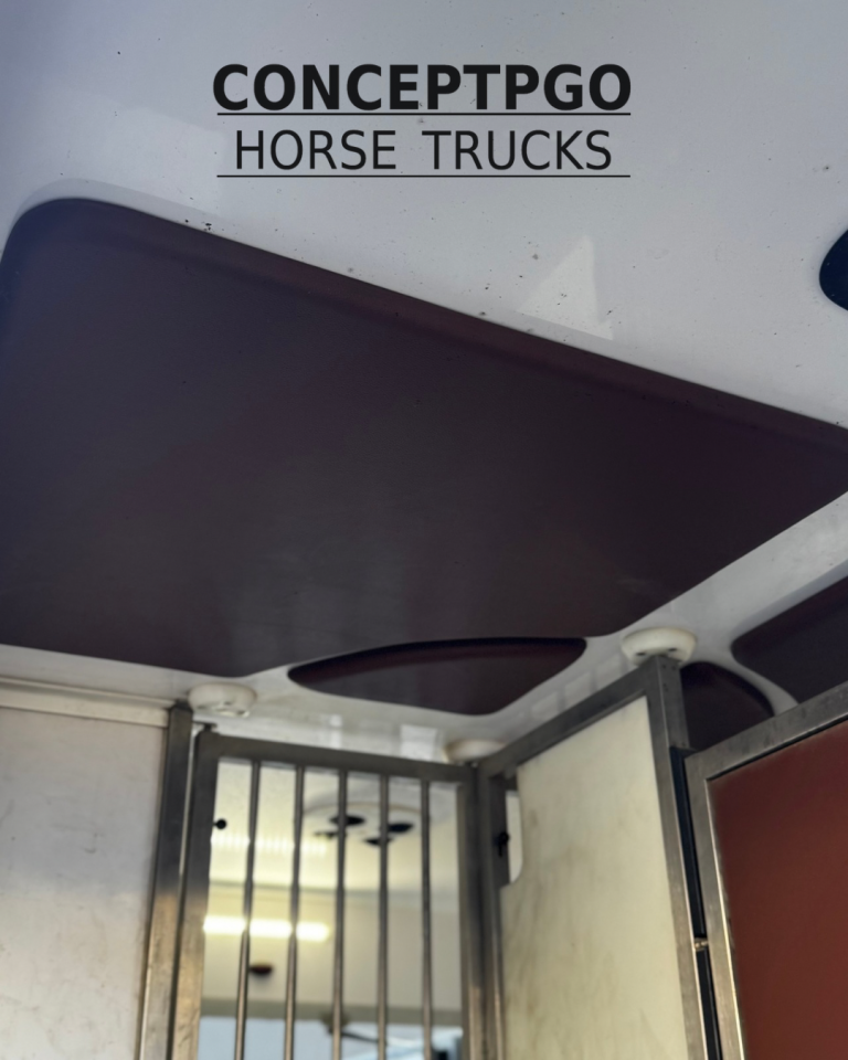 Kleine paardenvrachtwagen (B rijbewijs) Renault ATM  2024 Tweedehands