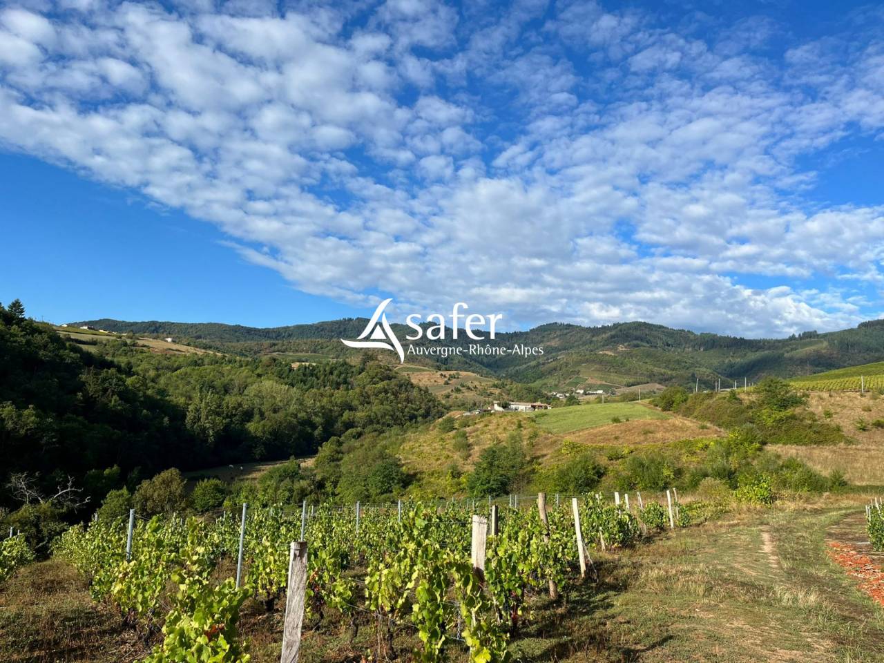 Ander plattelands vastgoed Koop Rhône