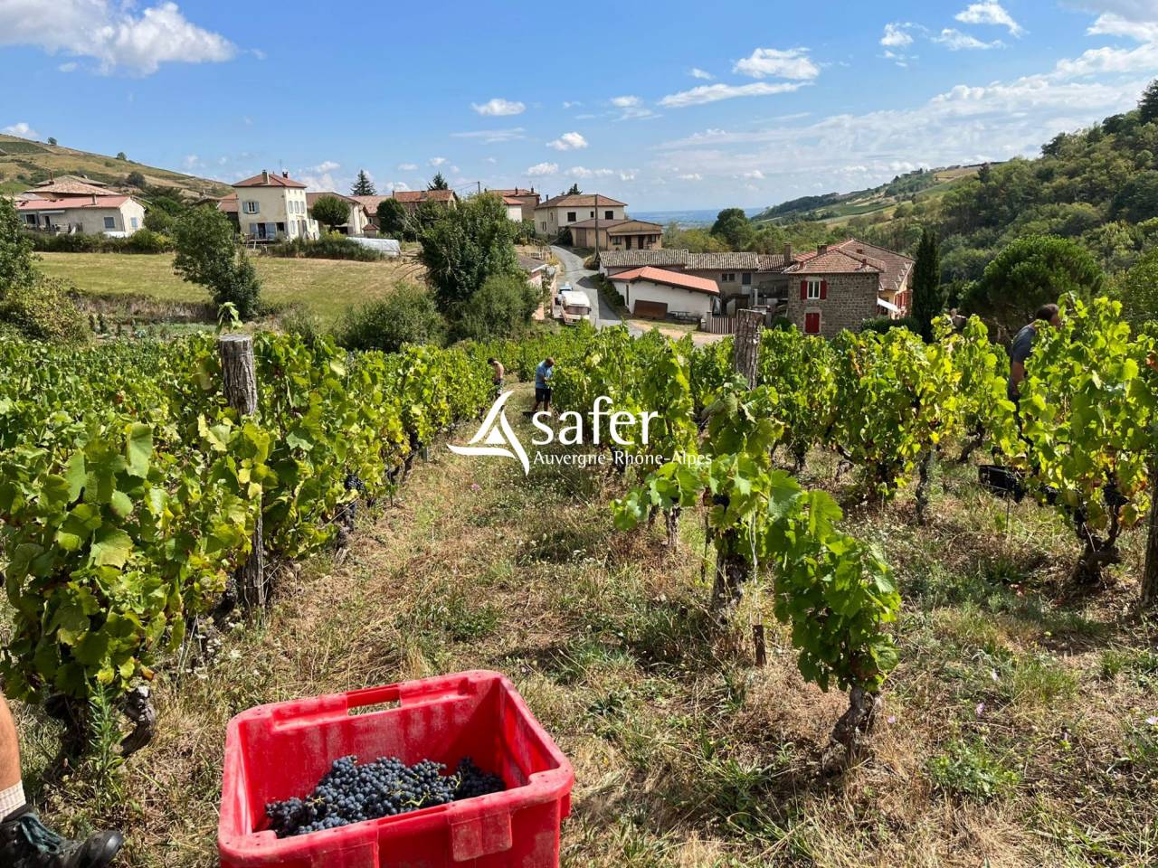 Ander plattelands vastgoed Koop Rhône