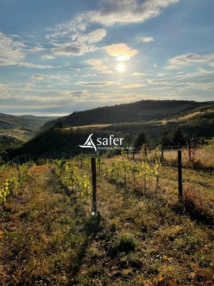 Ander plattelands vastgoed Koop Rhône