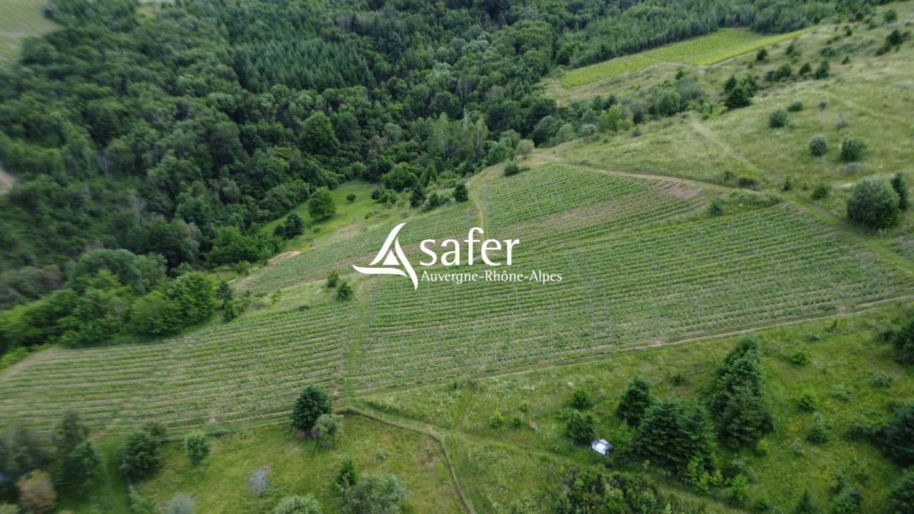 Ander plattelands vastgoed Koop Rhône