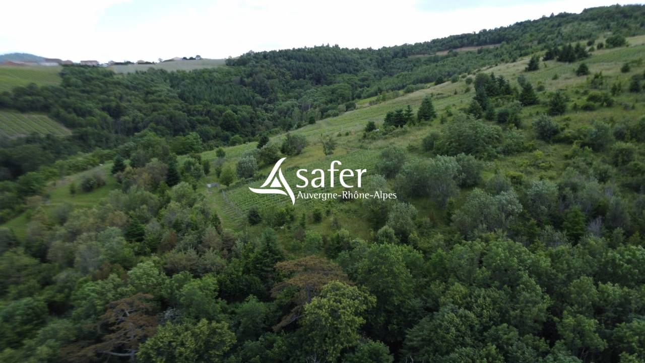 Ander plattelands vastgoed Koop Rhône