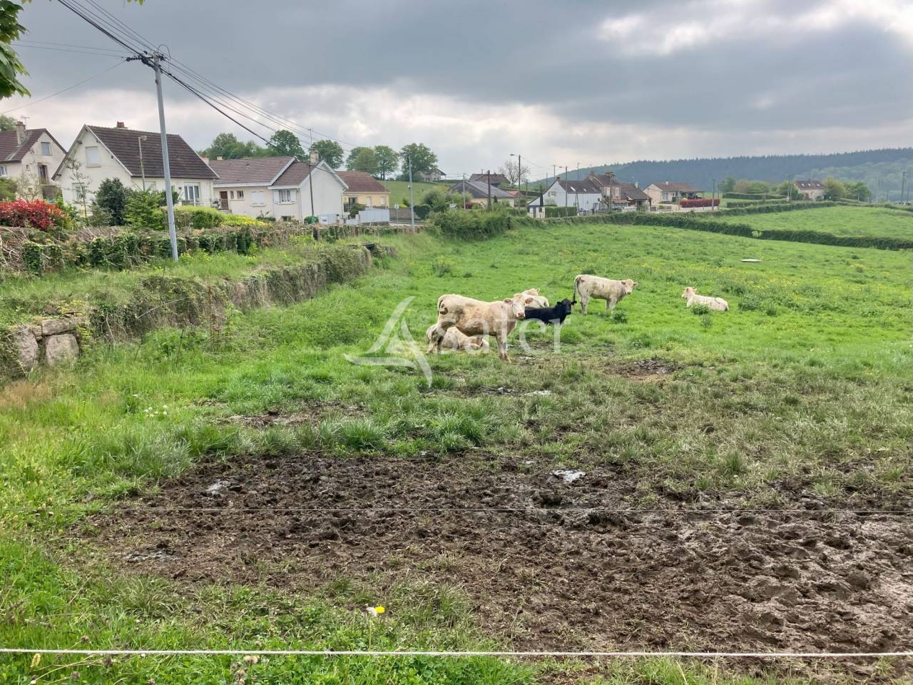 Groente exploitatie Koop Saône-et-Loire