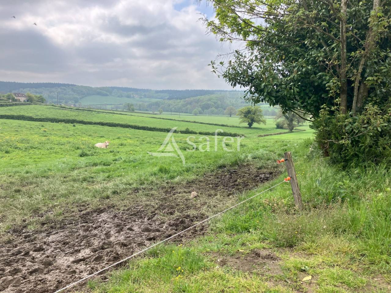 Groente exploitatie Koop Saône-et-Loire