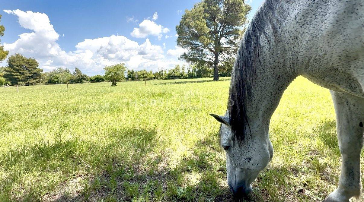 Hippisch vastgoed Koop Bouches-du-Rhône