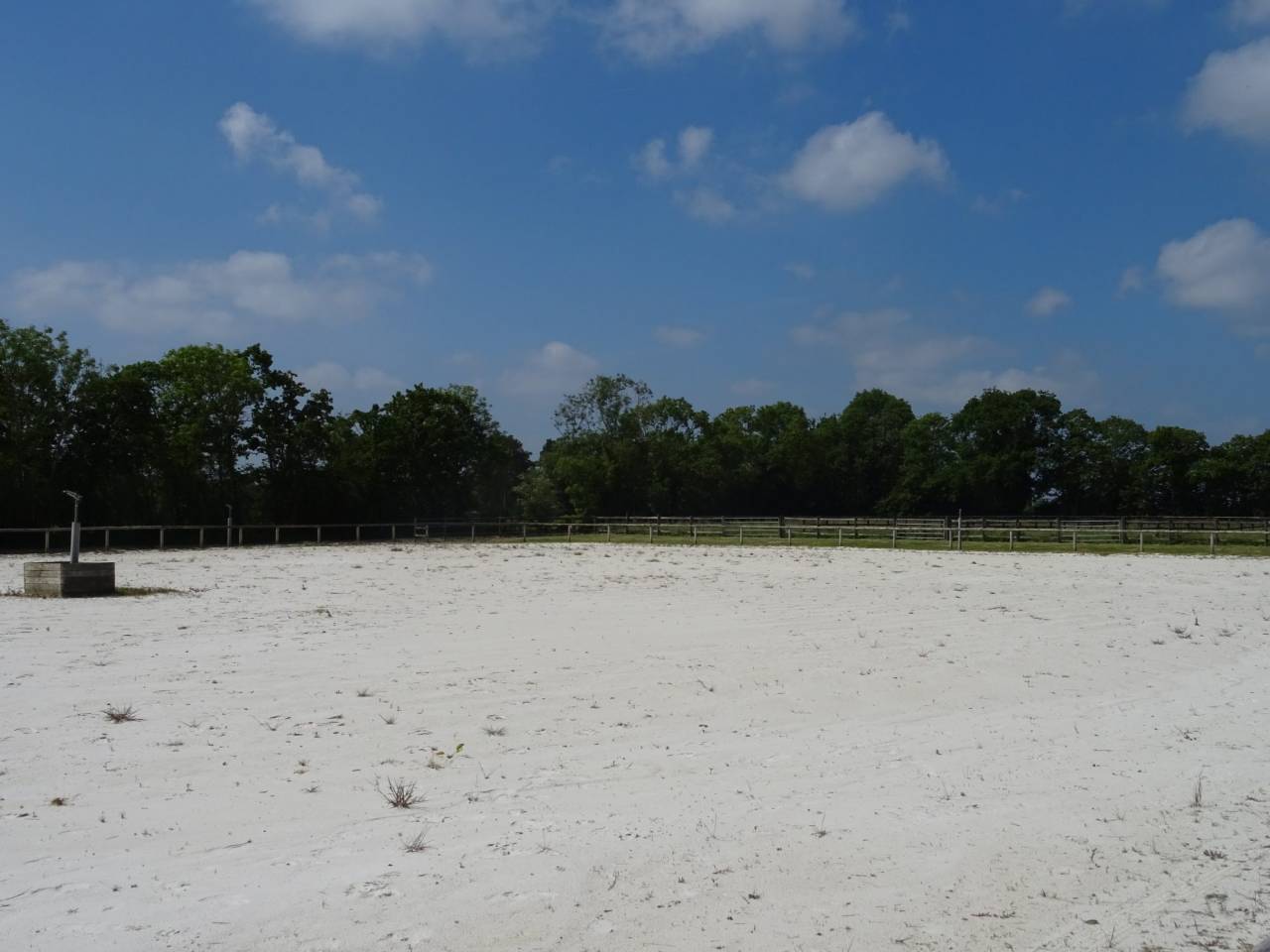 Hippisch vastgoed Koop Calvados