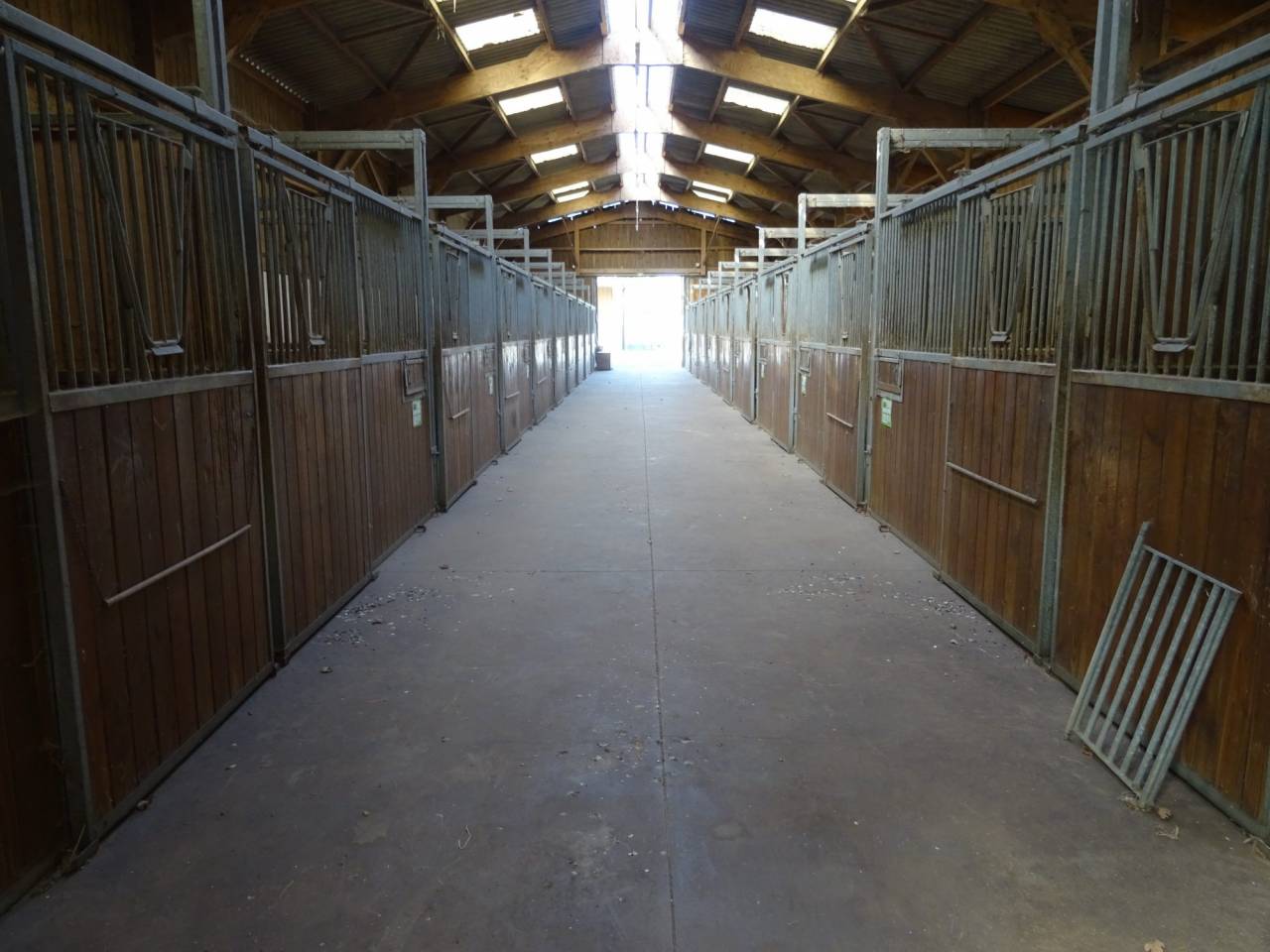 Hippisch vastgoed Koop Calvados