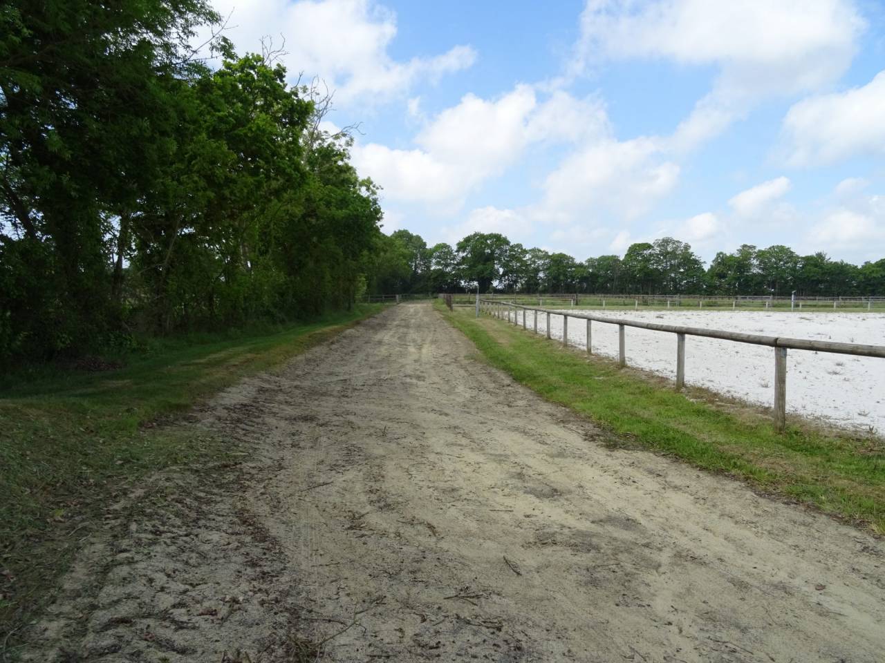 Hippisch vastgoed Koop Calvados