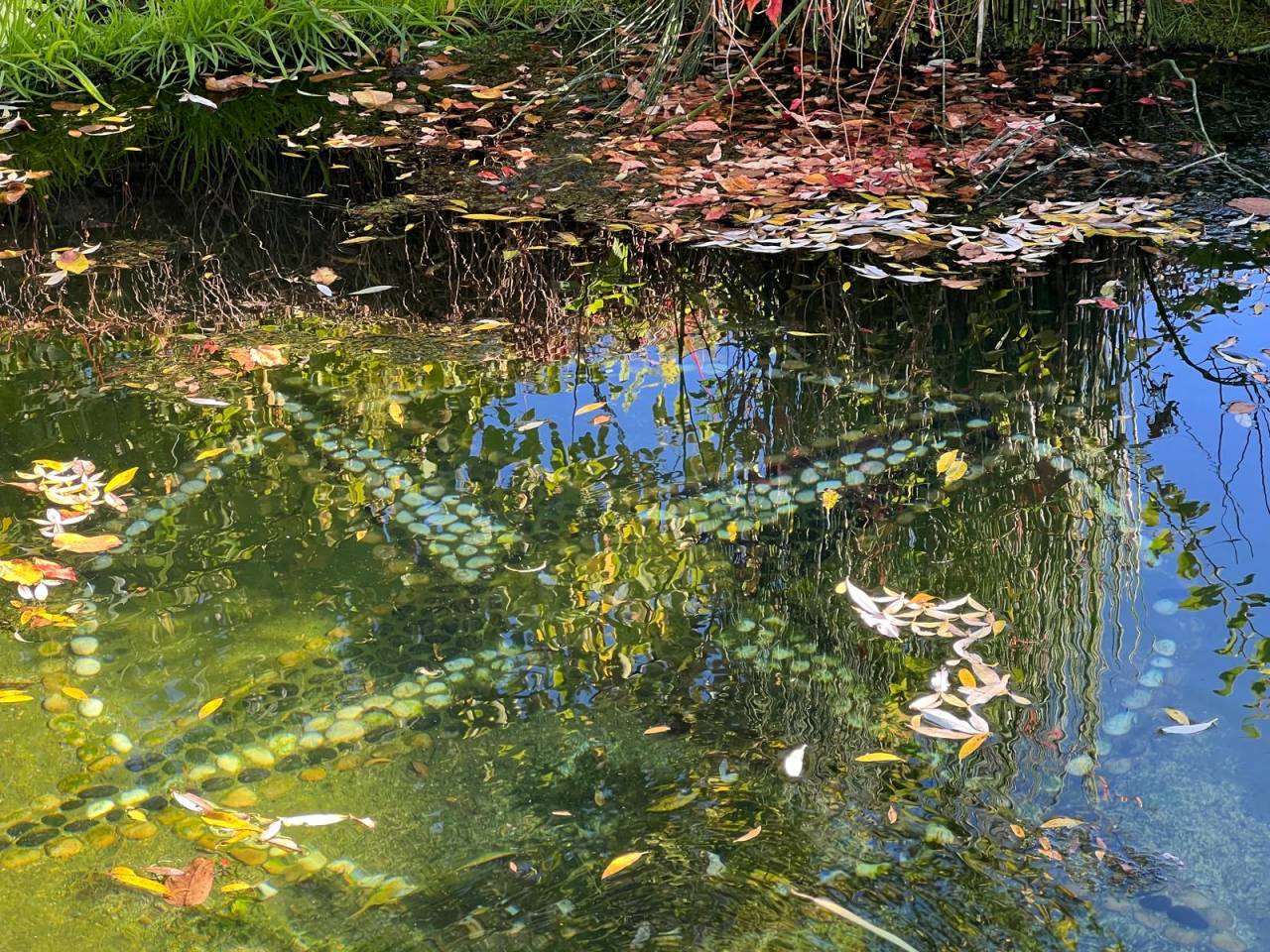 Plattelands huis Koop Creuse