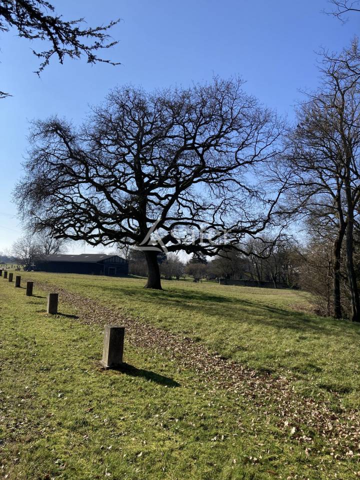 Hippisch vastgoed Koop Lot-et-Garonne