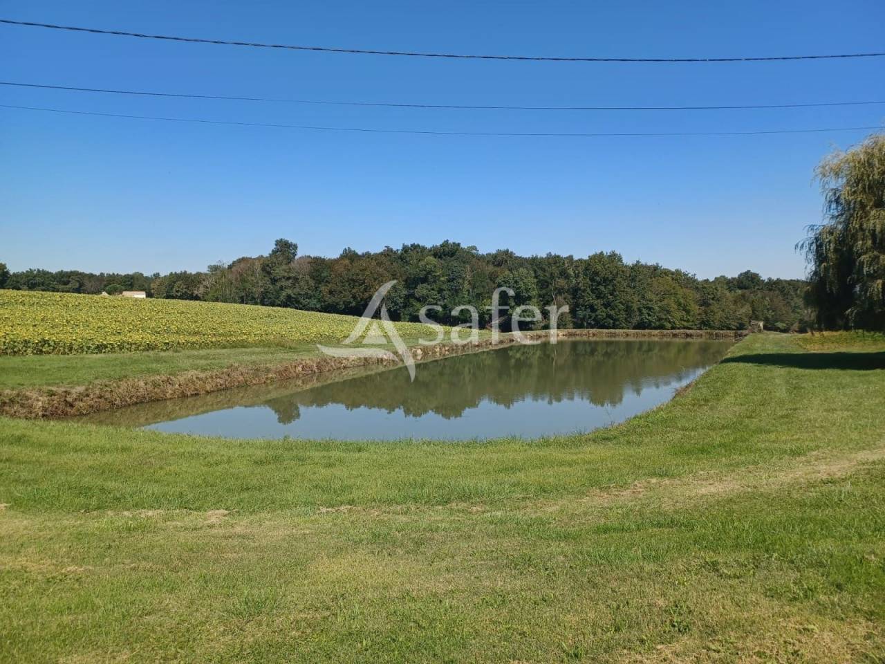 Landbouw bedrijf Koop Lot-et-Garonne