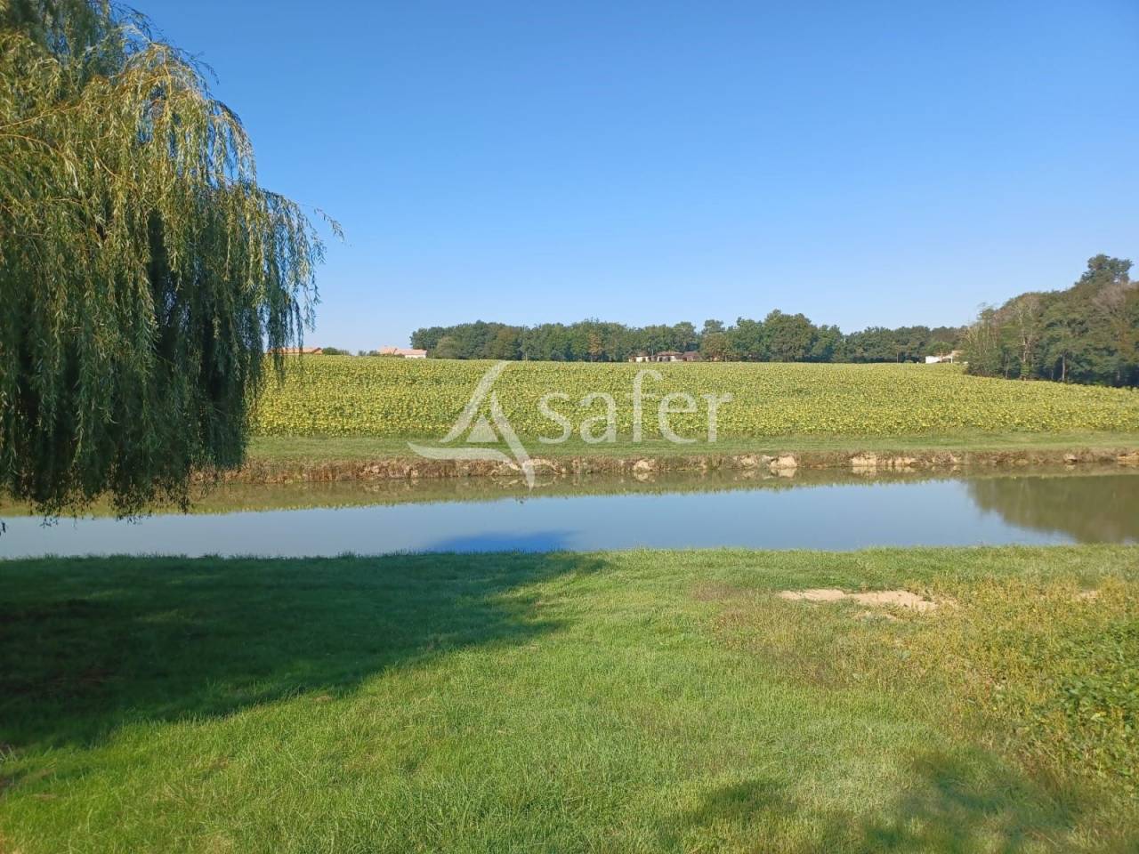 Landbouw bedrijf Koop Lot-et-Garonne