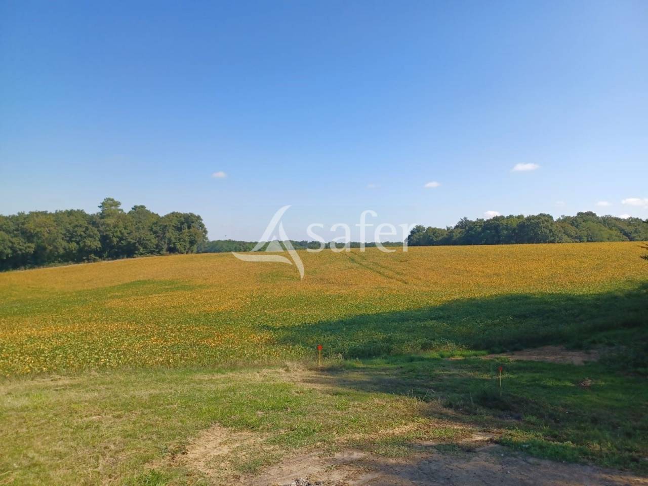 Landbouw bedrijf Koop Lot-et-Garonne