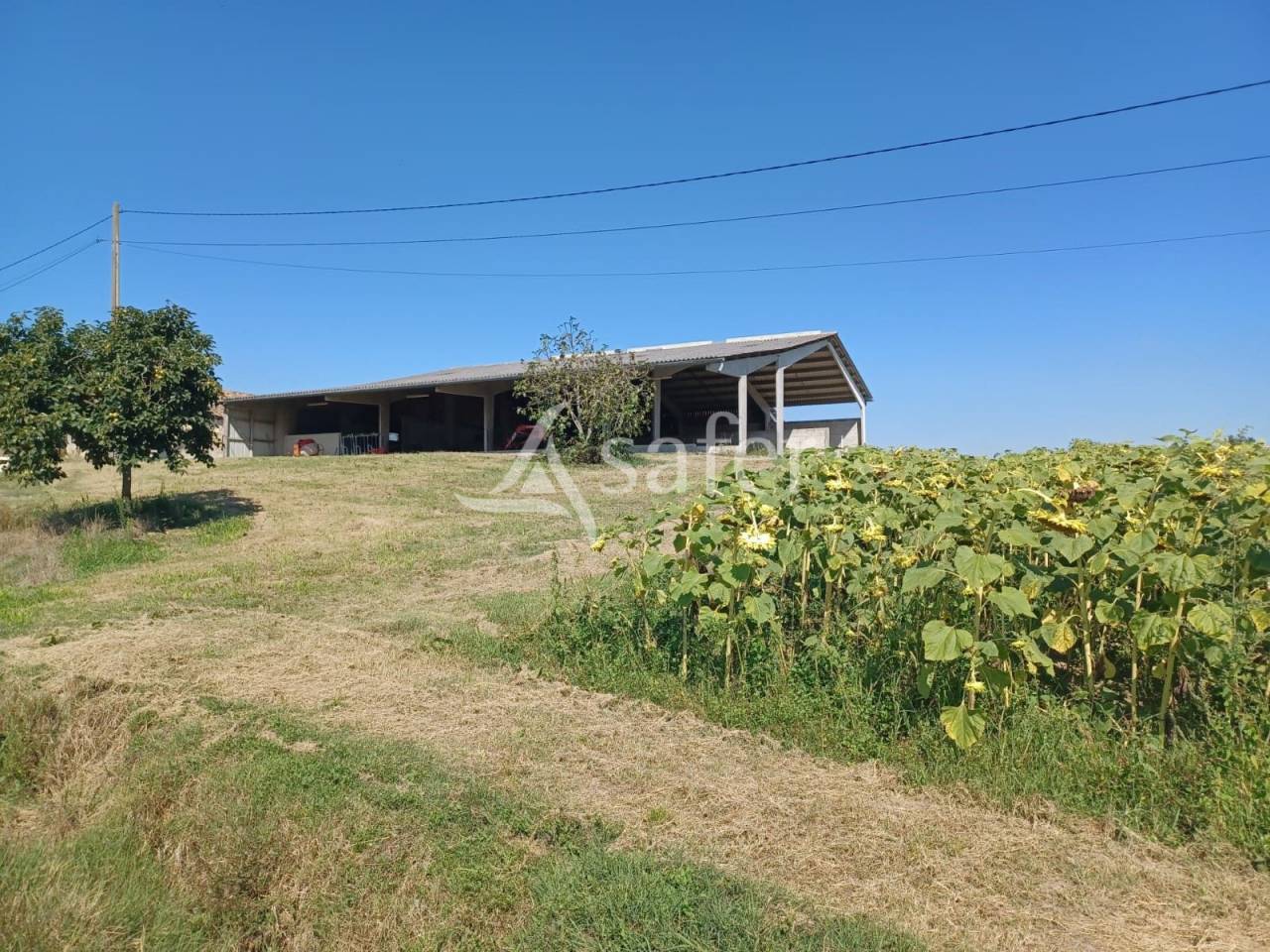 Landbouw bedrijf Koop Lot-et-Garonne
