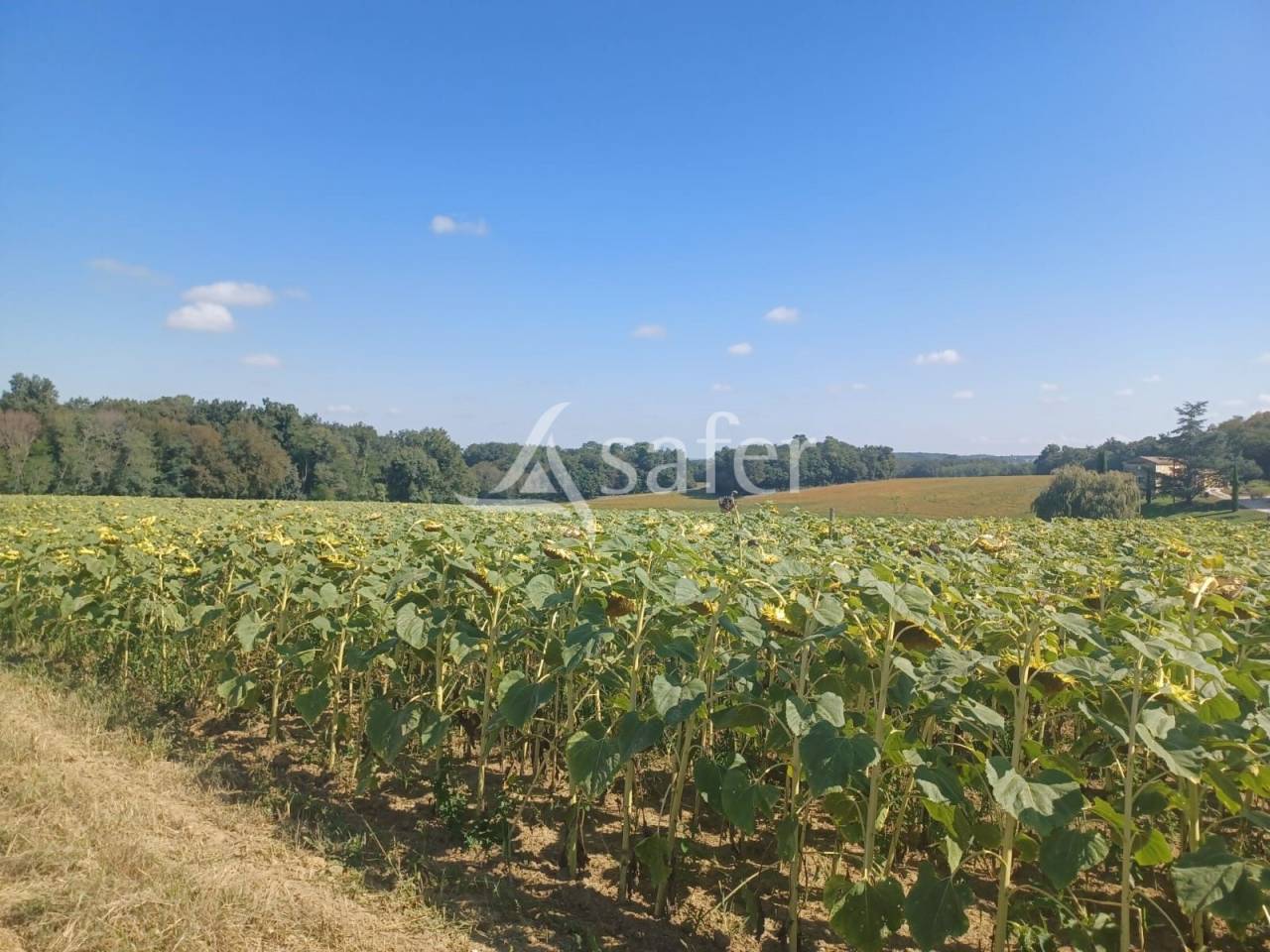 Landbouw bedrijf Koop Lot-et-Garonne