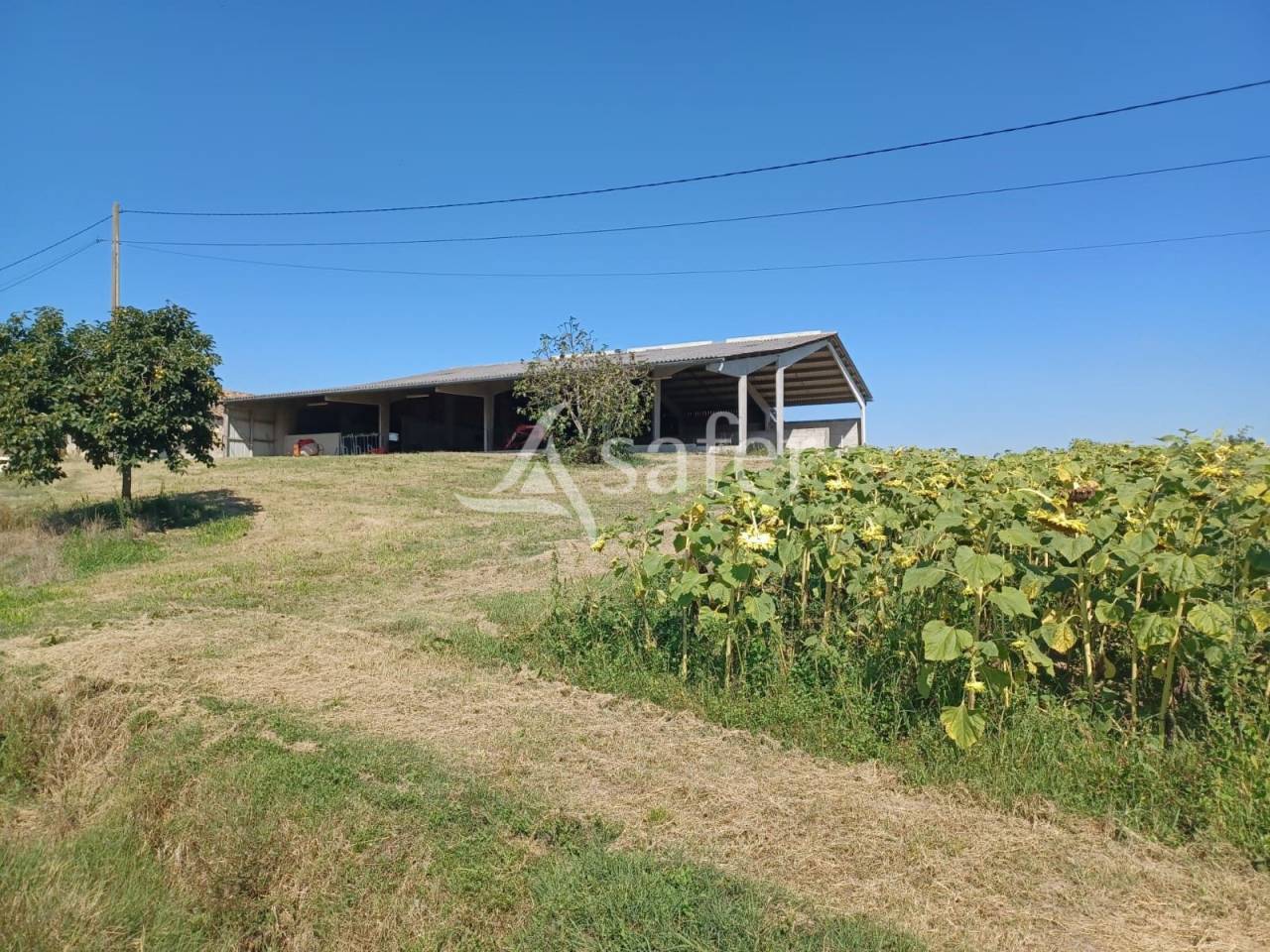 Landbouw bedrijf Koop Lot-et-Garonne