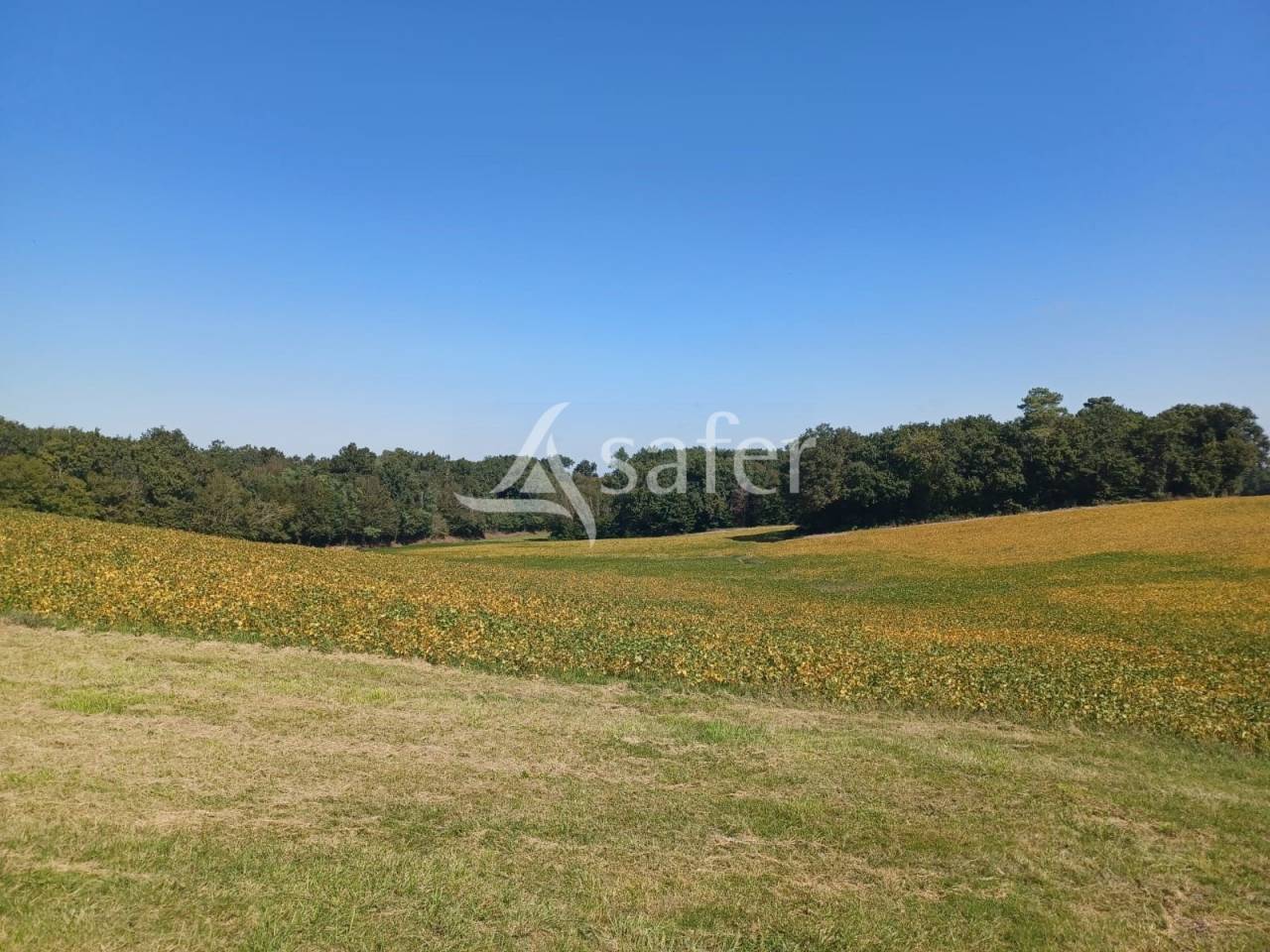 Landbouw bedrijf Koop Lot-et-Garonne