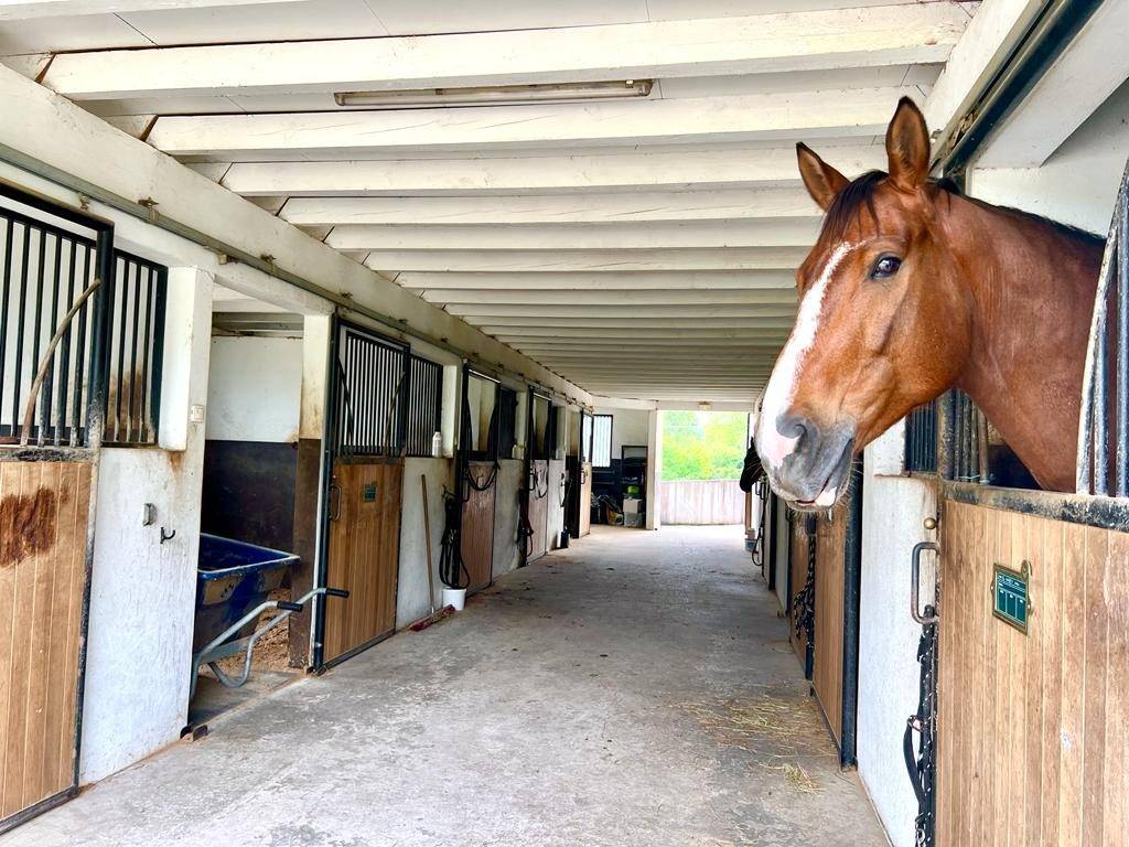 Hippisch vastgoed Koop Pyrénées-Atlantiques