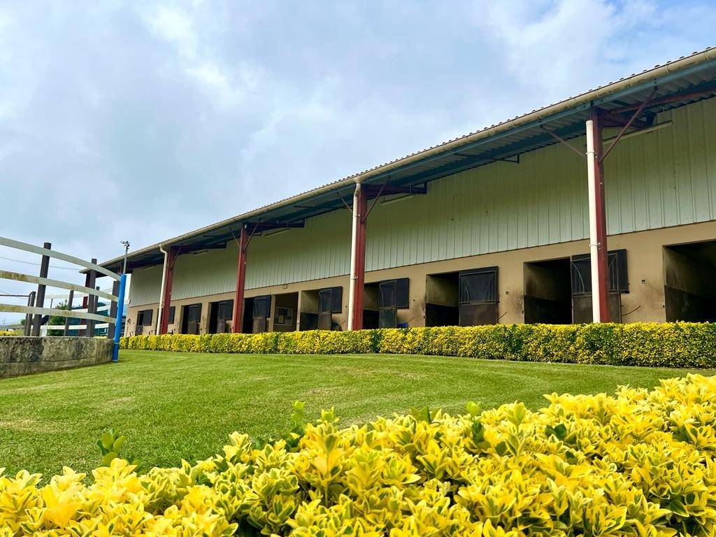 Hippisch vastgoed Koop Pyrénées-Atlantiques