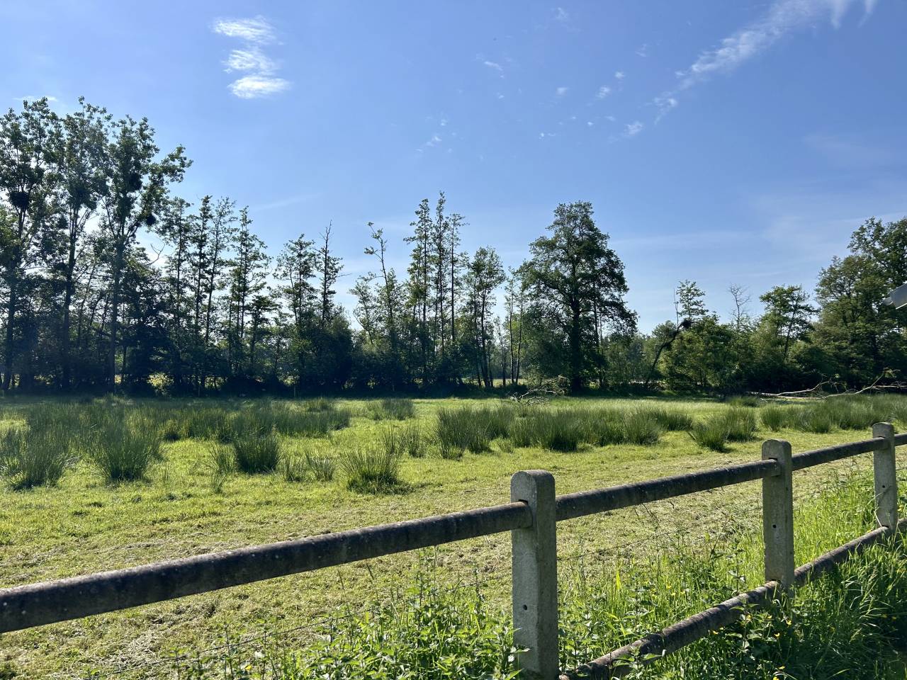 Mooi hippisch vastgoed Koop Morbihan