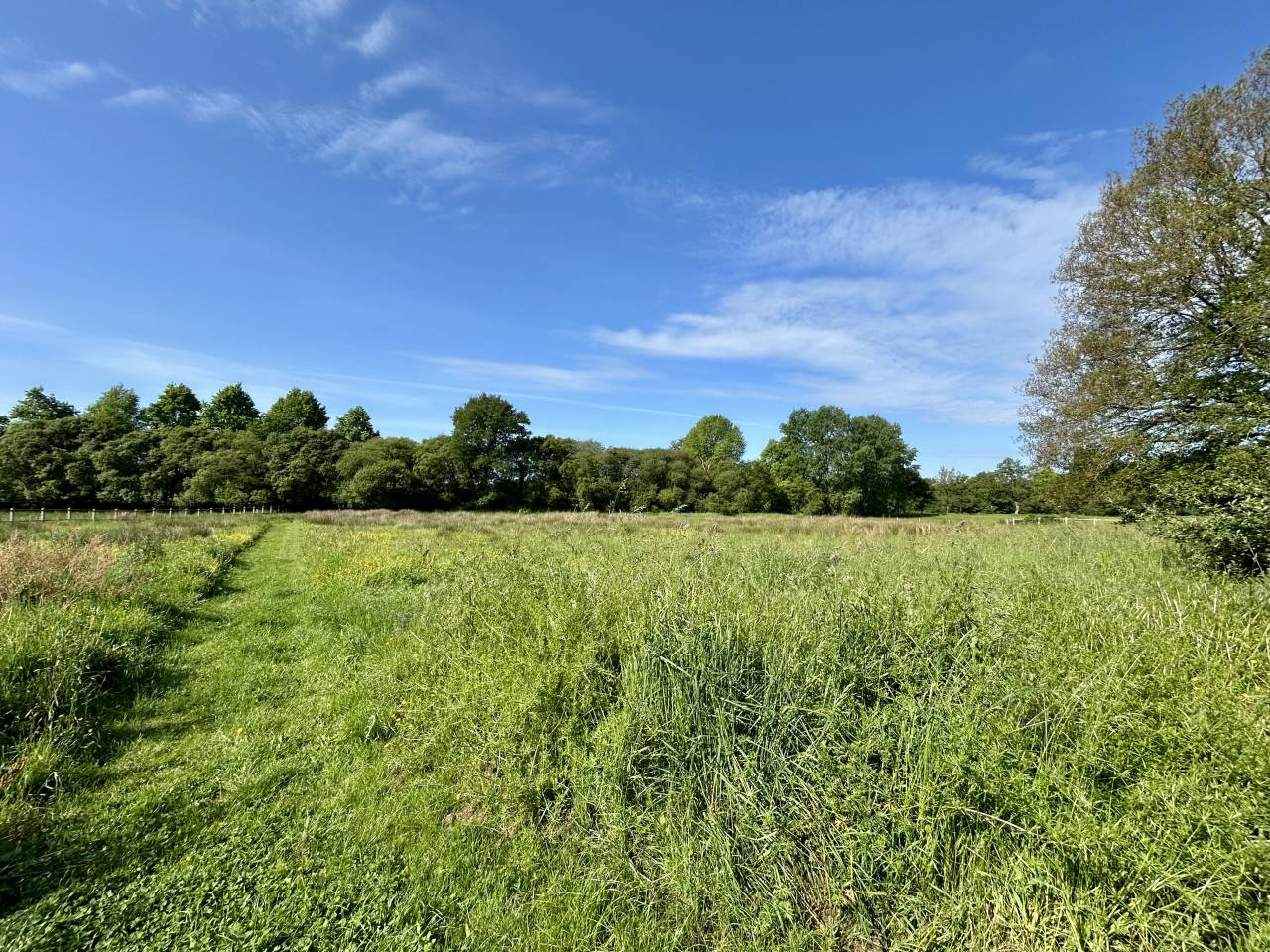 Mooi hippisch vastgoed Koop Morbihan