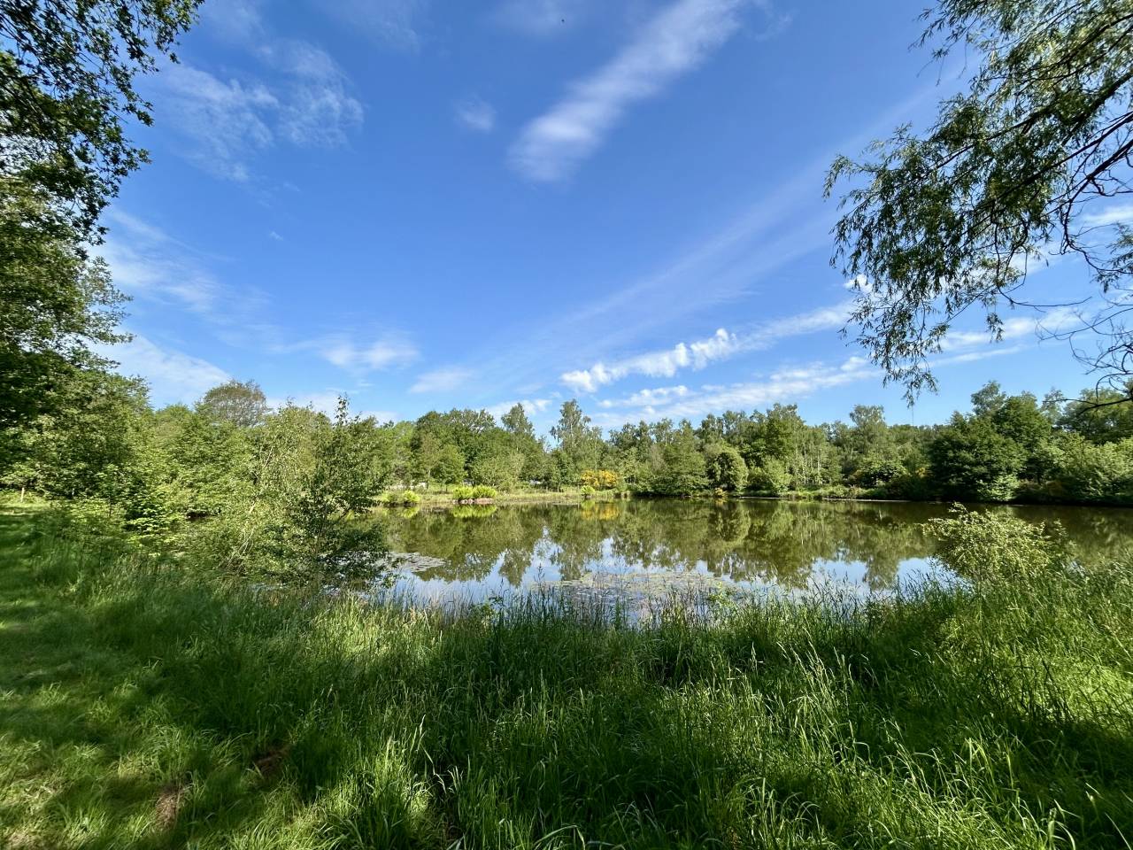 Mooi hippisch vastgoed Koop Morbihan