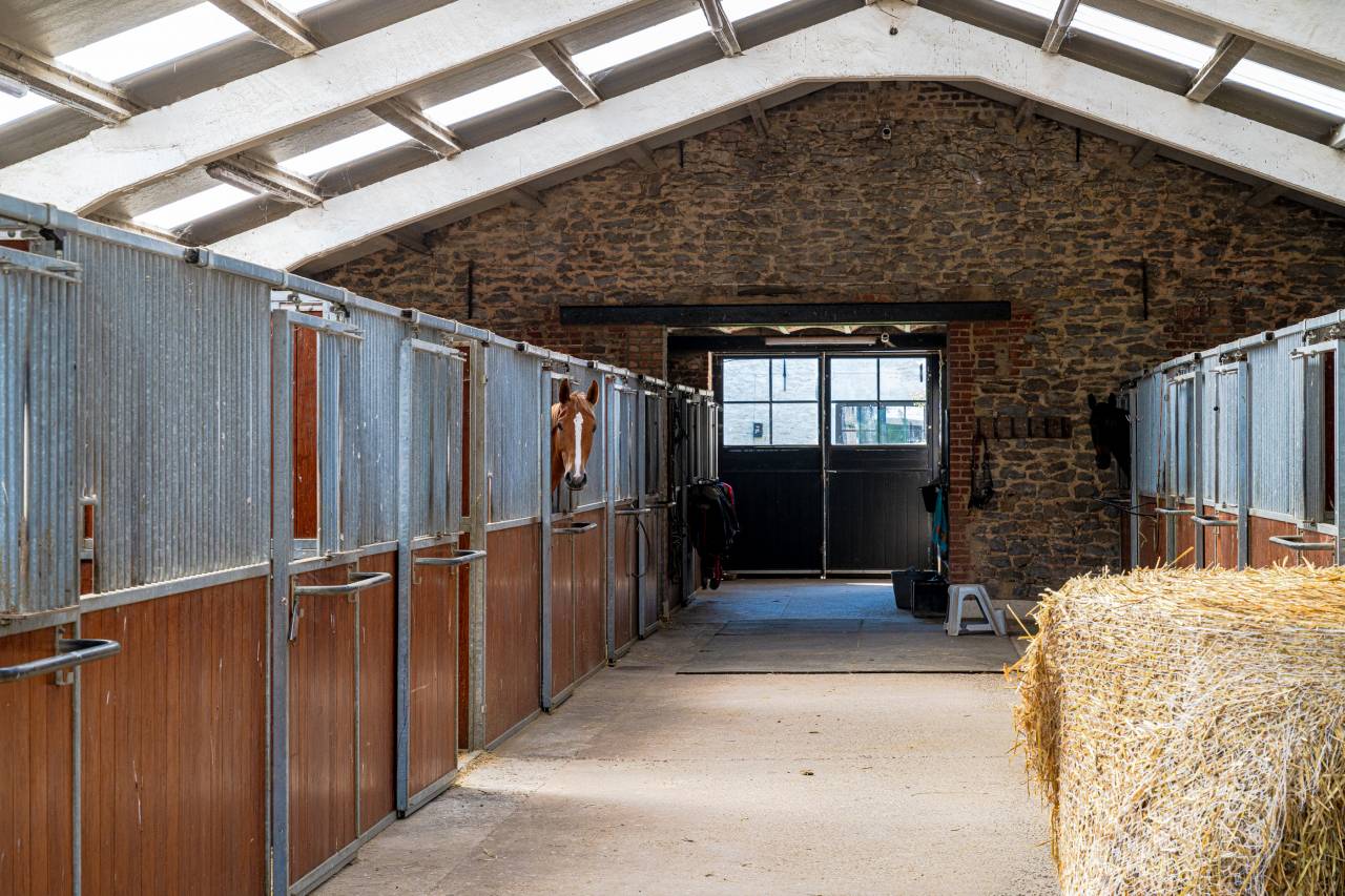 Hippisch vastgoed Koop Hainaut