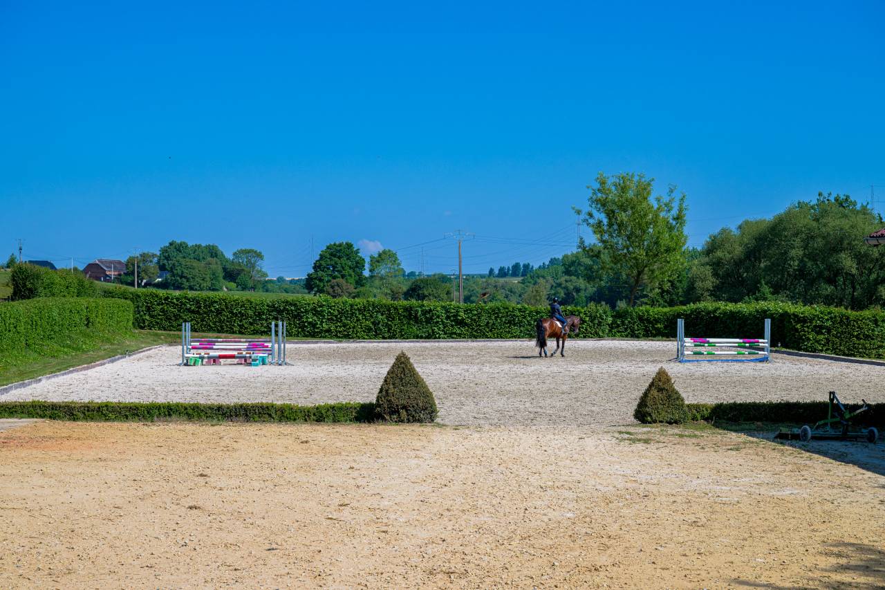 Hippisch vastgoed Koop Hainaut
