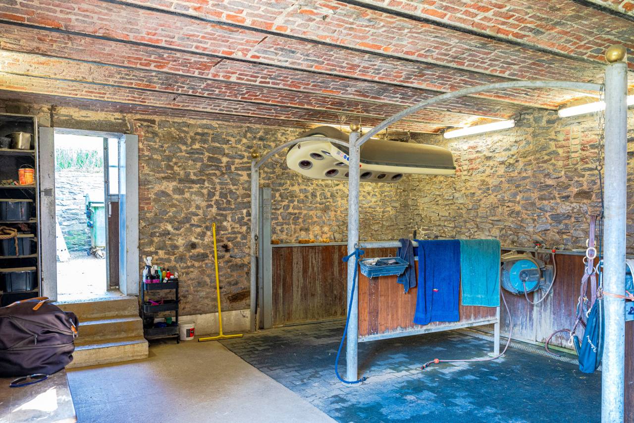 Hippisch vastgoed Koop Hainaut