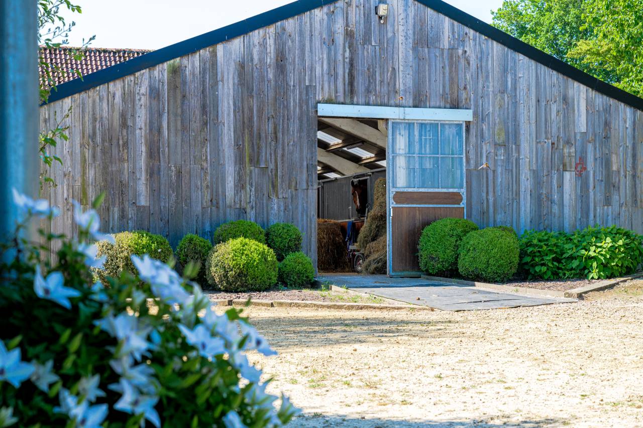 Hippisch vastgoed Koop Hainaut