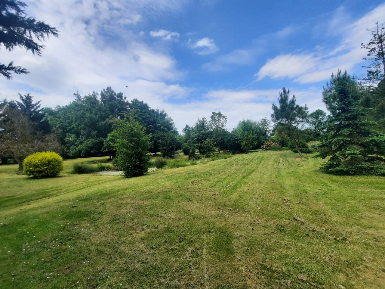 Mooi hippisch vastgoed Koop Charente-Maritime