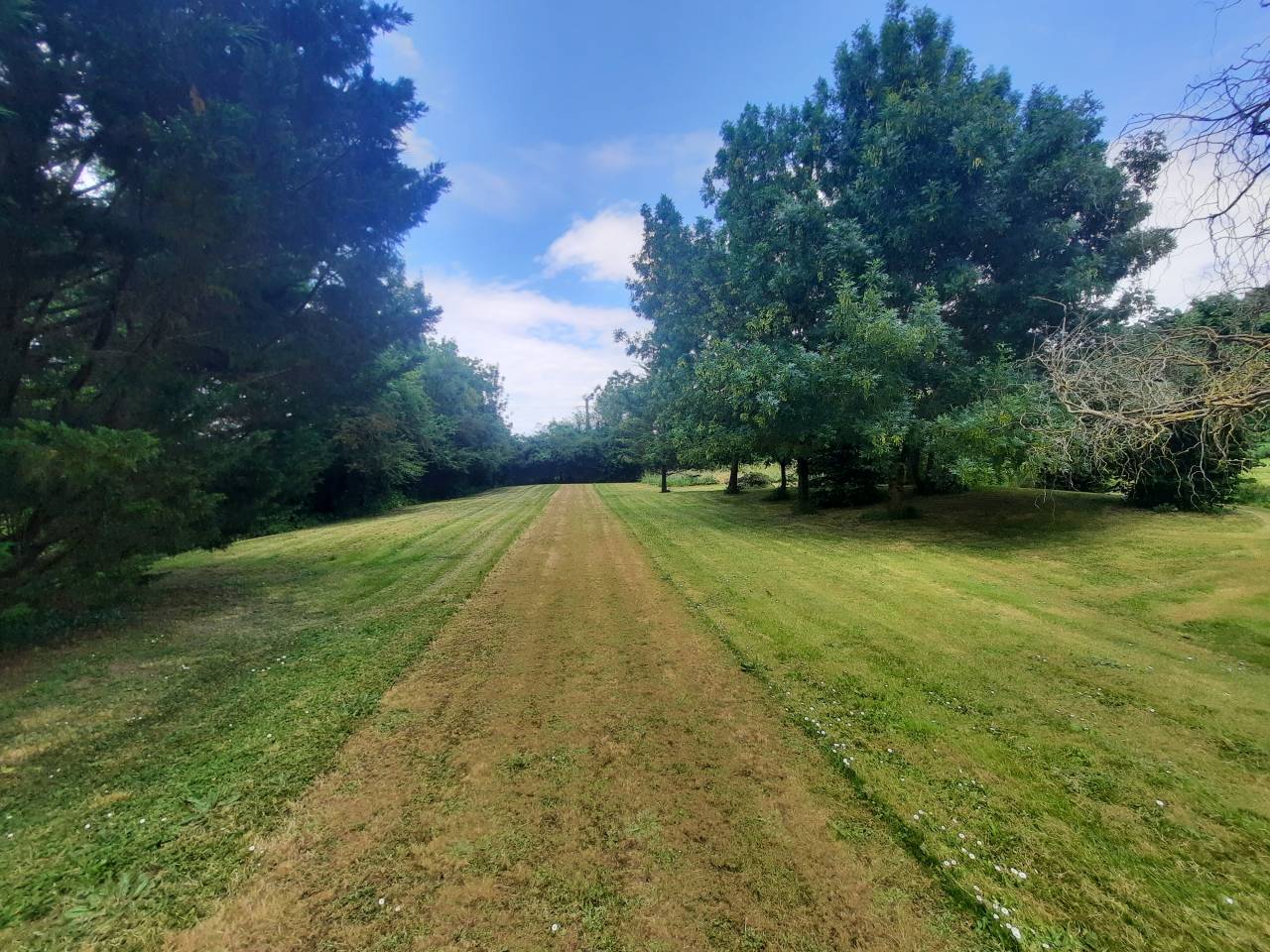 Mooi hippisch vastgoed Koop Charente-Maritime
