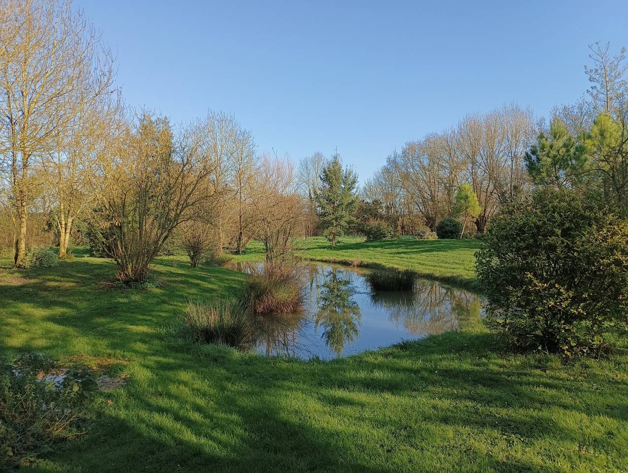 Mooi hippisch vastgoed Koop Charente-Maritime
