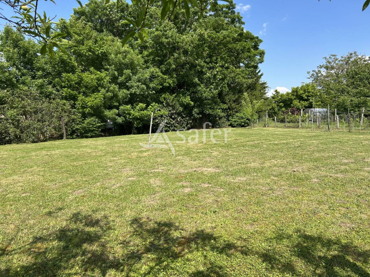 Graan exploitatie Koop Lot-et-Garonne