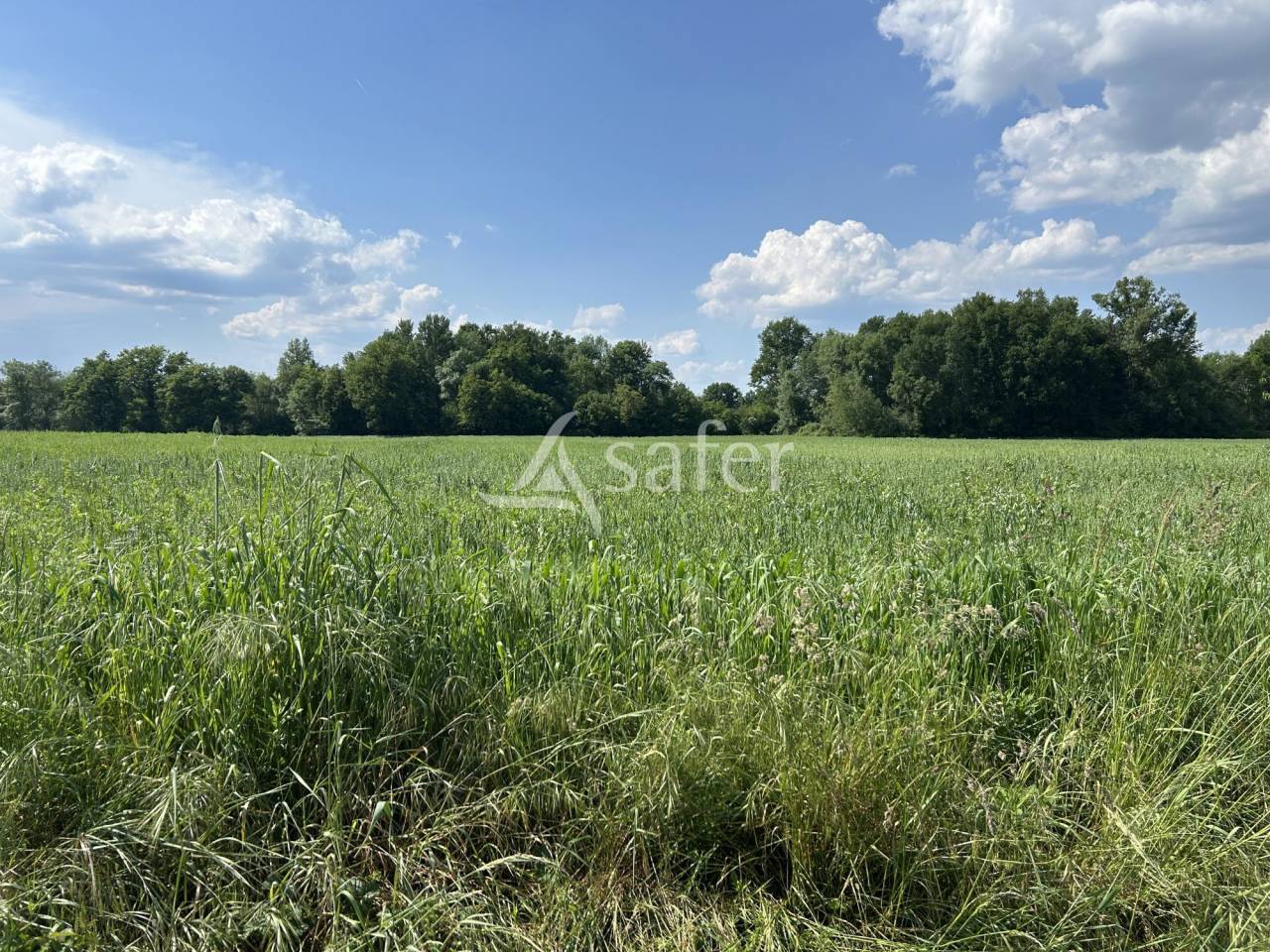 Graan exploitatie Koop Lot-et-Garonne