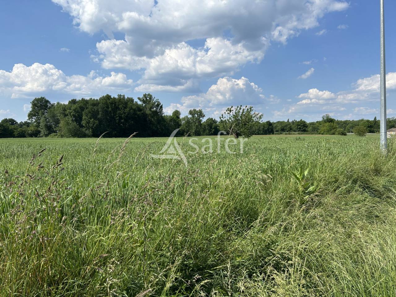 Graan exploitatie Koop Lot-et-Garonne