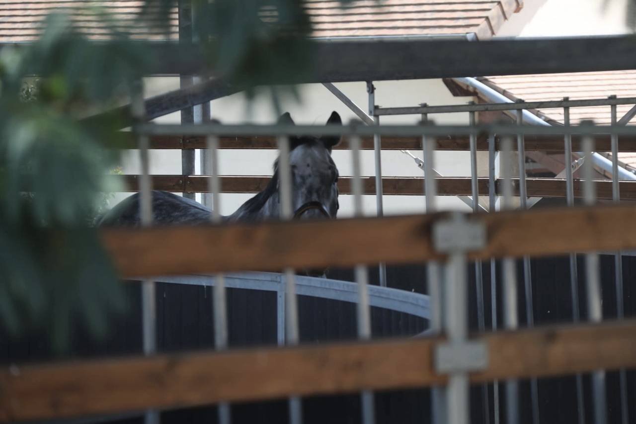 Hippisch vastgoed Koop Saône-et-Loire