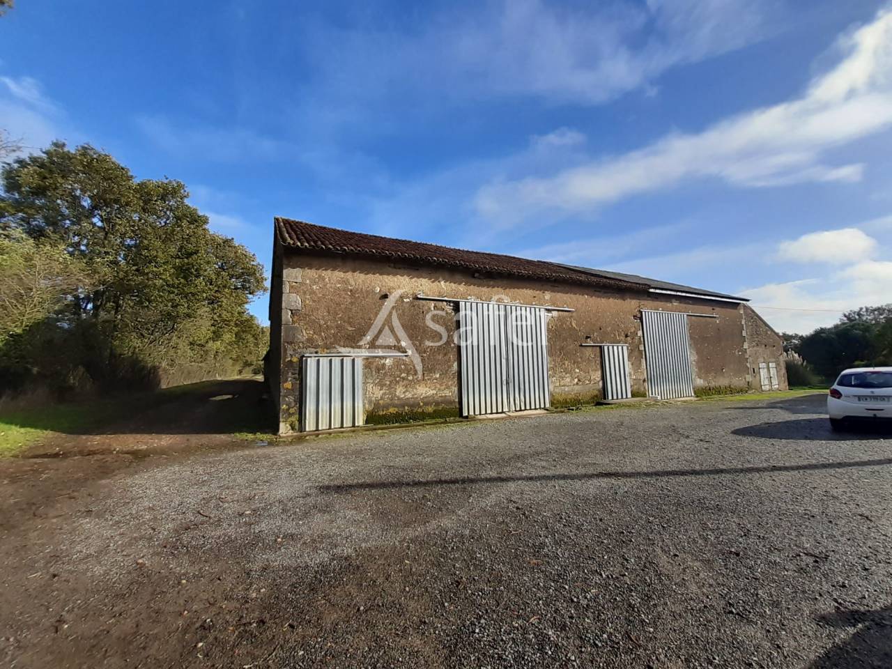 Schapen exploitatie Koop Vienne