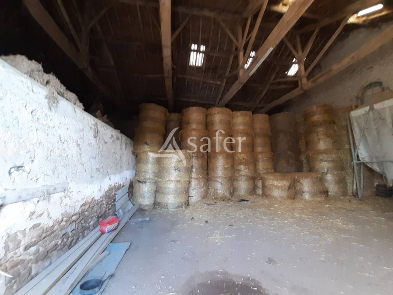 Schapen exploitatie Koop Vienne