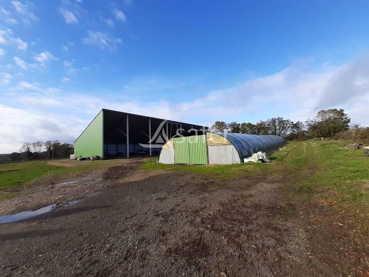 Schapen exploitatie Koop Vienne