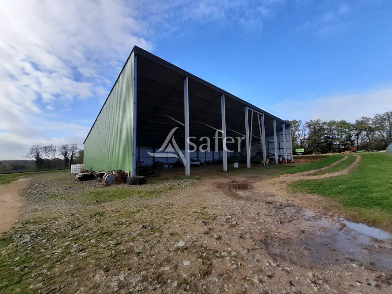 Schapen exploitatie Koop Vienne