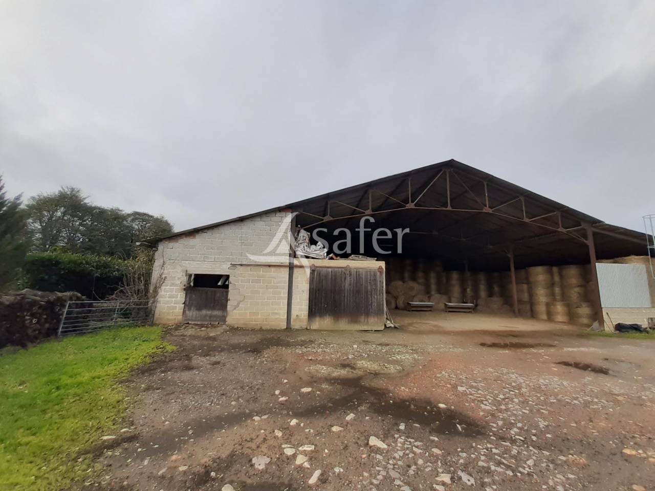 Schapen exploitatie Koop Vienne