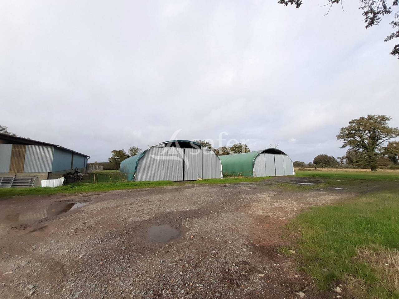 Schapen exploitatie Koop Vienne