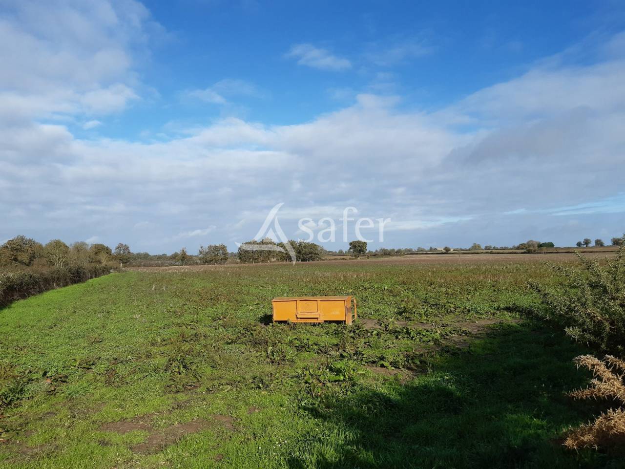 Schapen exploitatie Koop Vienne