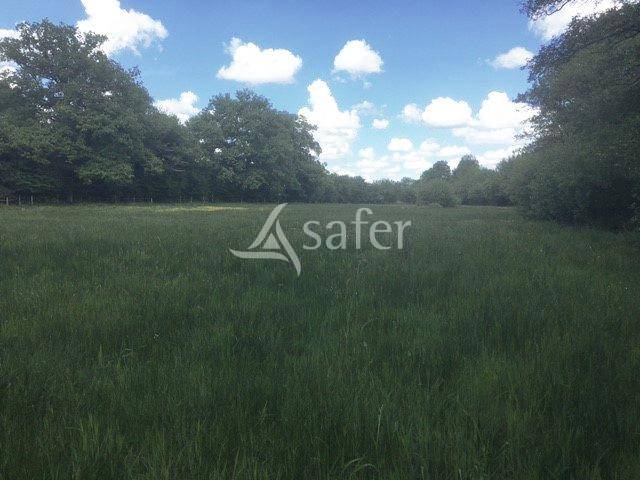 Ander plattelands vastgoed Koop Creuse