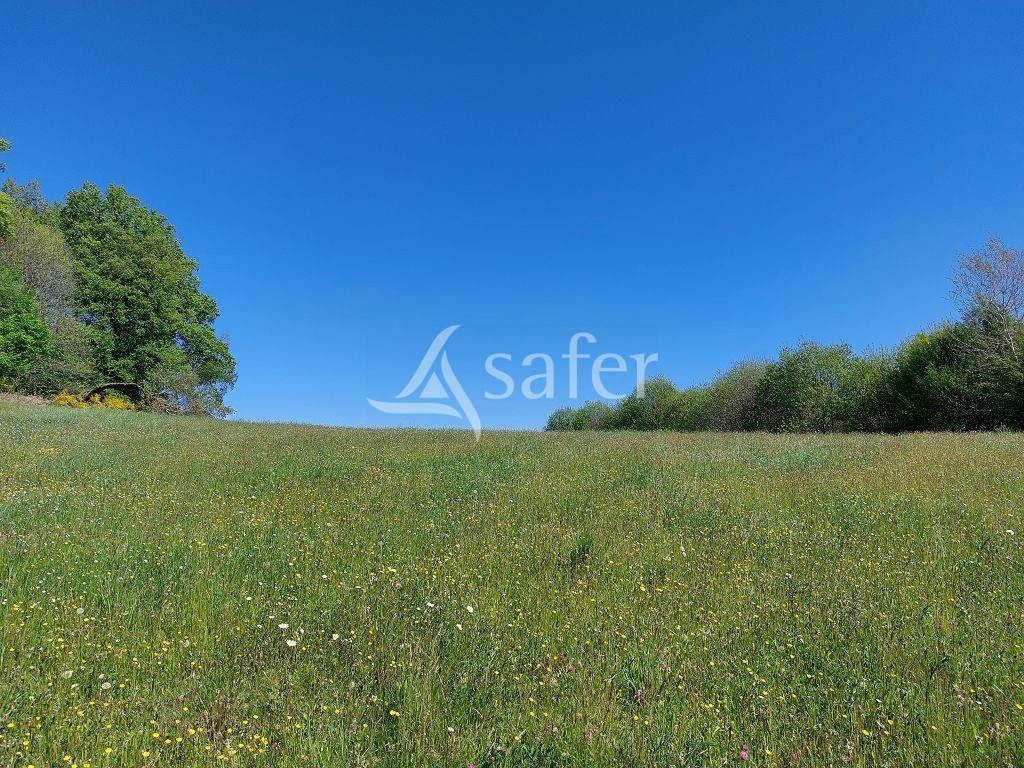 Ander plattelands vastgoed Koop Corrèze