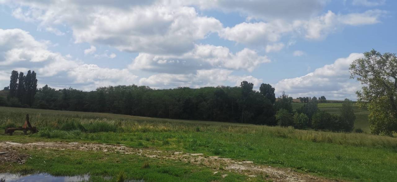 Hippisch vastgoed Koop Gironde