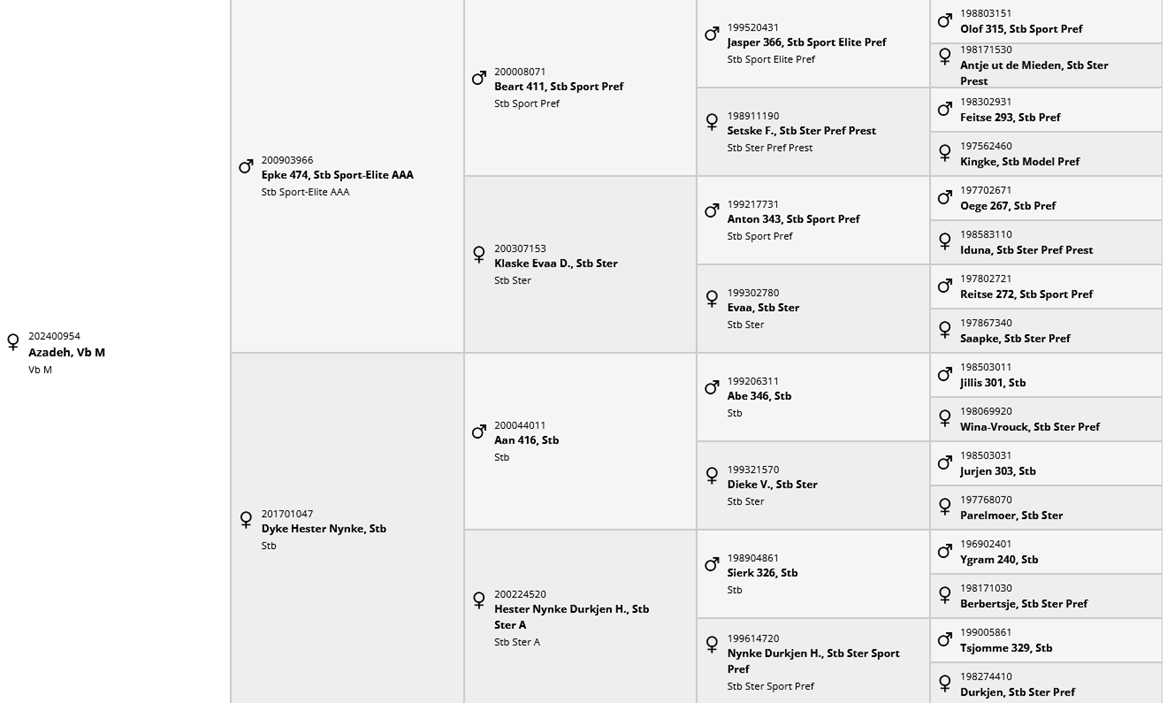 Veulen (vr) Fries Te koop 2024 Zwart ,  Epke 474, Sport Elite AAA