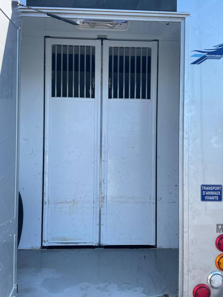 Kleine paardenvrachtwagen (B rijbewijs) MTM  2018 Tweedehands